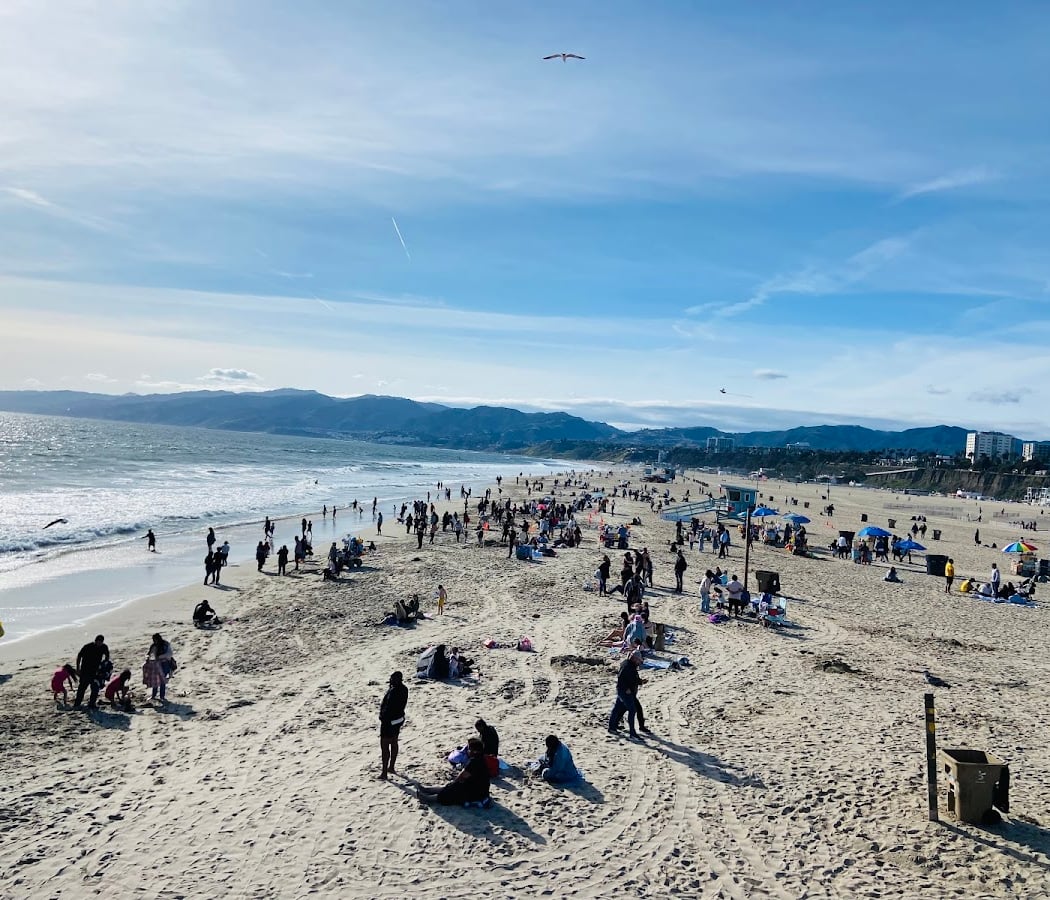 Project Save Our Surf Beach Clean Up 1
